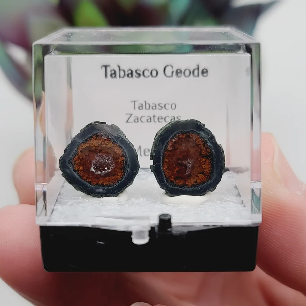 Black & Red Banded Druzy Tabasco Geode Thumbnail Mineral Specimen D